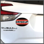 NFL Atlanta Falcons #RiseUp Decal or Car Magnet